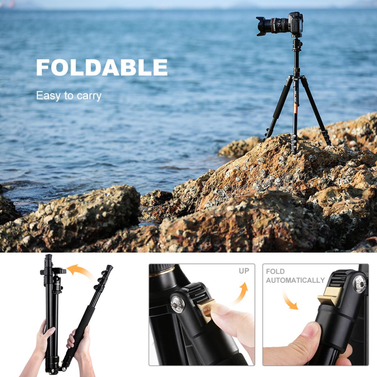 K&F Concept  Tripod (KF09.040) TM2324 II Aluminium Alloy Monopod ขาตั้งกล้อง