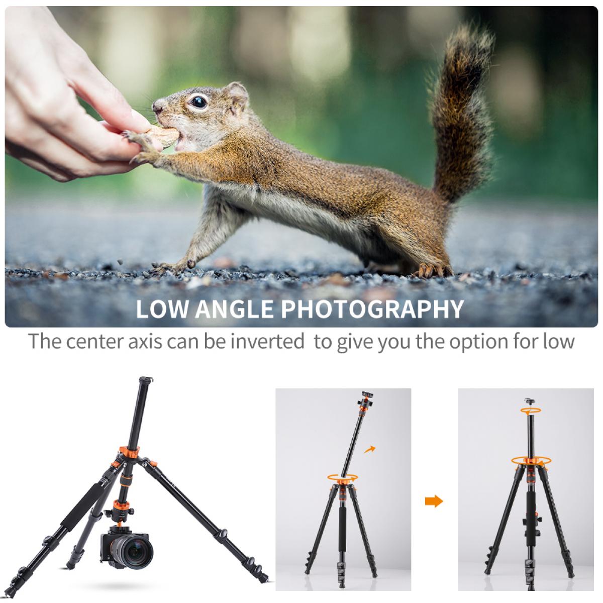 JIEYANG JY0508AM ​​ Max Load 5KG Camera Tripod For Video Stand DSLR  ขาตั้งกล้อง